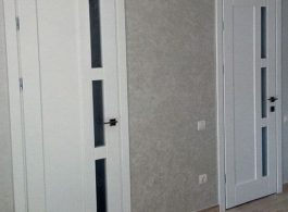 Dveri-35